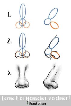 how to draw the nose and feet with colored pencils step by step instructions for beginners