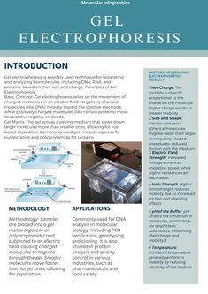 an article in the medical information manual for electrophoresis, featuring images of electronic devices