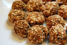 a white plate topped with lots of chocolate and oatmeal balls covered in nuts