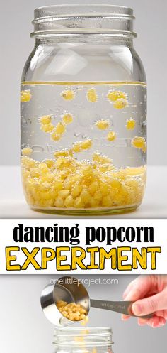 Dancing Popcorn Experiment | Fun & Easy Dancing Corn Science for Kids Science Experiments School Age, Preschool Science Projects Easy, Cool Easy Science Fair Projects, Science Experiments For Seniors, Fun Preschool Experiments, Easy 1st Grade Science Experiments, Wacky Science Experiments For Kids, Popcorn Kernel Sensory Bin, Science Experiments Preschoolers