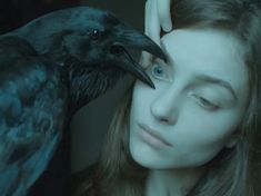 a woman is touching the head of a black bird