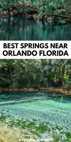 the best springs near orlando florida