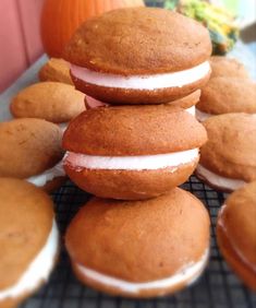 a stack of donuts sitting on top of a cooling rack next to pumpkins