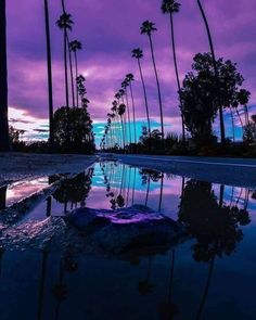 palm trees are reflected in the wet surface of a pool at sunset with purple and blue colors