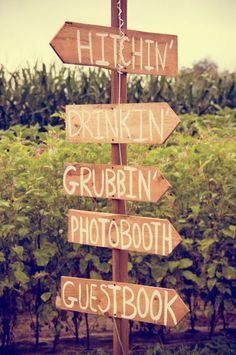 a wooden sign pointing to different locations in the woods and on top of it is a bush