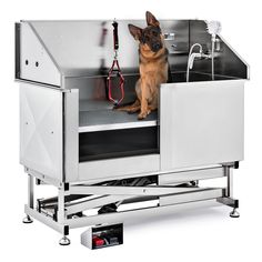 a german shepard dog sitting in the back of a stainless steel washroom with its leash hanging from it's door