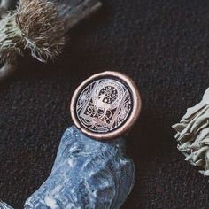 a close up of an object on a carpet with other items around it, including plants and rocks