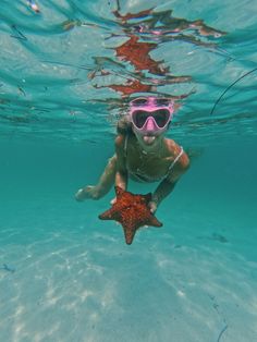 a woman wearing goggles and swimming in the ocean with a starfish under water