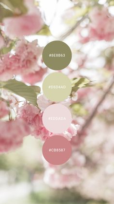 some pink flowers are hanging from a tree with green leaves and the words be bold above them