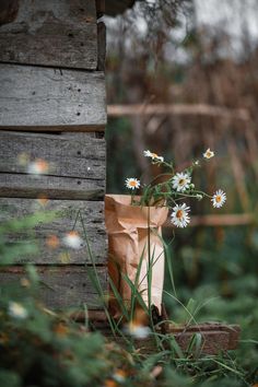 a brown paper bag with daisies in it sitting next to a wooden wall and grass