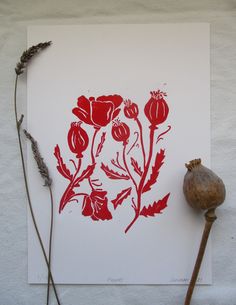 an image of red flowers on white paper with dried plant life in the foreground