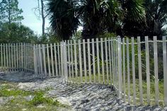 a white picket fence in front of some palm trees and sand on the ground with green grass