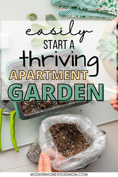 must read tips for the beginner homesteader in an urban apartment. Start your urban homestead today even without land, the best indoor apartment garden tips. How to start Homesteading in an apartment. How to start your homestead garden. Homesteading for Beginners- Guide to Starting a Homestead Gardening Indoors For Beginners, Apartment Homestead, How To Start A Small Homestead, Small Homestead Aesthetic, Homesteading For Beginners Small Spaces, Apartment Homesteading For Beginners, Modern Homestead Aesthetic, How To Homestead In The City, Apartment Homesteading