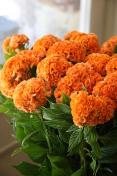 a vase filled with orange flowers on top of a table