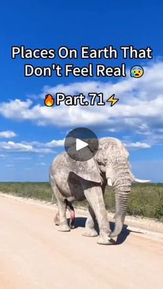 an elephant walking down a dirt road with the words, places on earth that don't feel real part 7