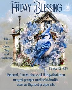 a blue bird sitting on top of a tree branch next to a sign that says friday blessing