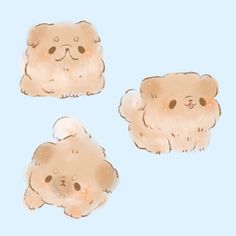 three drawings of small dogs on a light blue background