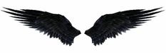 two black angel wings on a white background