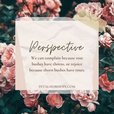 pink flowers with a quote about perspective