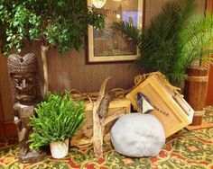 there are many potted plants on the floor next to each other in this room