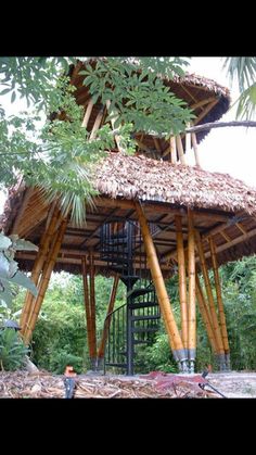 a tall wooden structure sitting in the middle of a forest