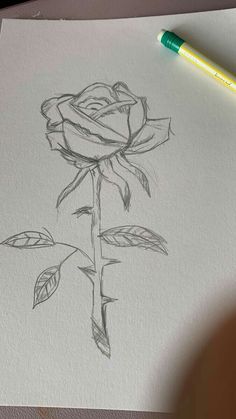 a pencil drawing of a rose on paper