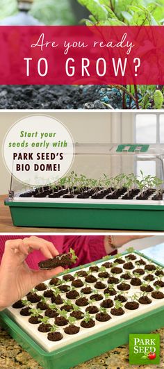 an advertisement for seeding plants with the words are you ready to grow?