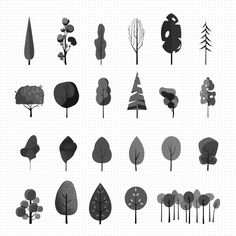 various types of trees are shown in black and white