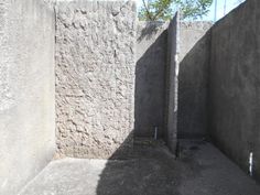 the shadow of a tree is cast on concrete walls