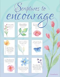 a book cover with watercolor flowers and words on the front, in blue background