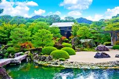 a pond surrounded by trees and rocks