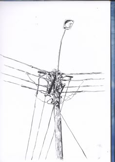 an ink drawing of a telephone pole with wires and a street light in the background