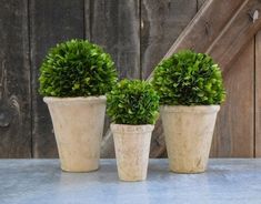 three potted plants sitting on top of a table