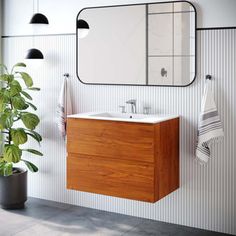 a bathroom with a sink, mirror and potted plant next to it on the wall