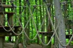 the ropes are hanging from the trees in the forest