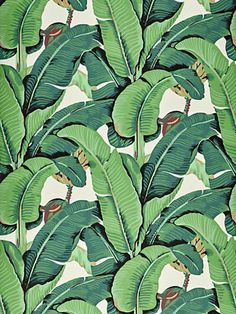 Hinson Palm Wallpaper for Scalamandre Beverly Hills Hotel Palm Print Jungle Prints, Mural Art Design, Palm Leaf Wallpaper, Banana Palm, Palm Wallpaper, Tropical Fabric, Beverly Hills Hotel, W Wallpaper, Summer Green