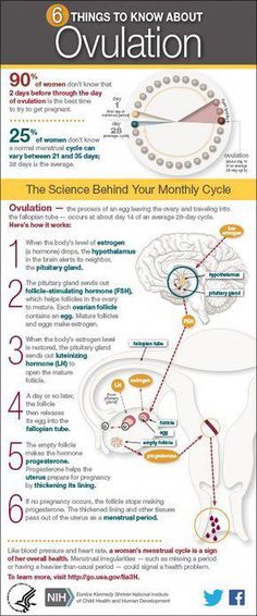 the science behind your monthy cycle info sheet for kids and adults, includes information about ovulation