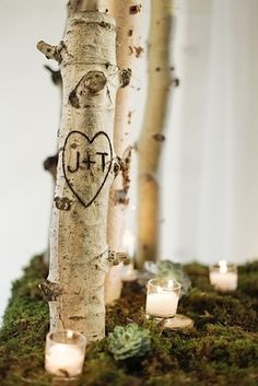 candles are lit next to a tree with a heart drawn on it and surrounded by moss