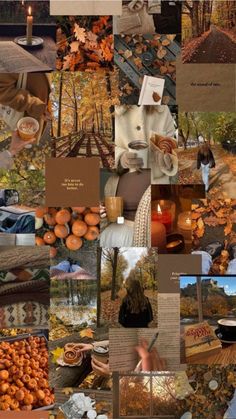 a collage of photos with oranges and people in the fall season, including trees