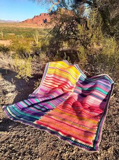 a blanket laying on top of a dirt ground next to a tree in the desert