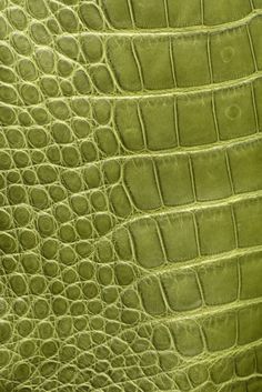 an alligator skin pattern is seen in this image