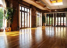 an empty room with wooden floors and large windows, in the middle of which is a potted plant