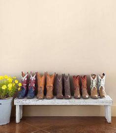 a row of cowboy boots sitting on top of a bench next to a potted plant