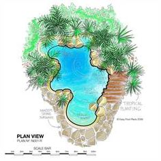 a plan view of a swimming pool surrounded by palm trees and water features for landscaping