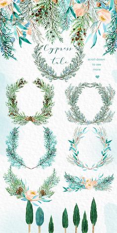 watercolor christmas wreaths and pine branches