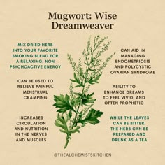 a poster showing the benefits of mungworth wise dreamweaver, which includes herbs