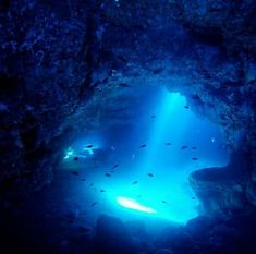 an underwater cave filled with lots of blue water and small fish swimming in the water