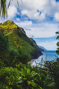 a lush green hillside next to the ocean