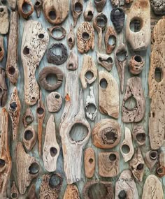 many different types of wood are arranged on the wall, with holes in each section