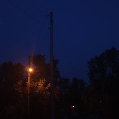 the street light is lit up in the dark night sky above some trees and bushes